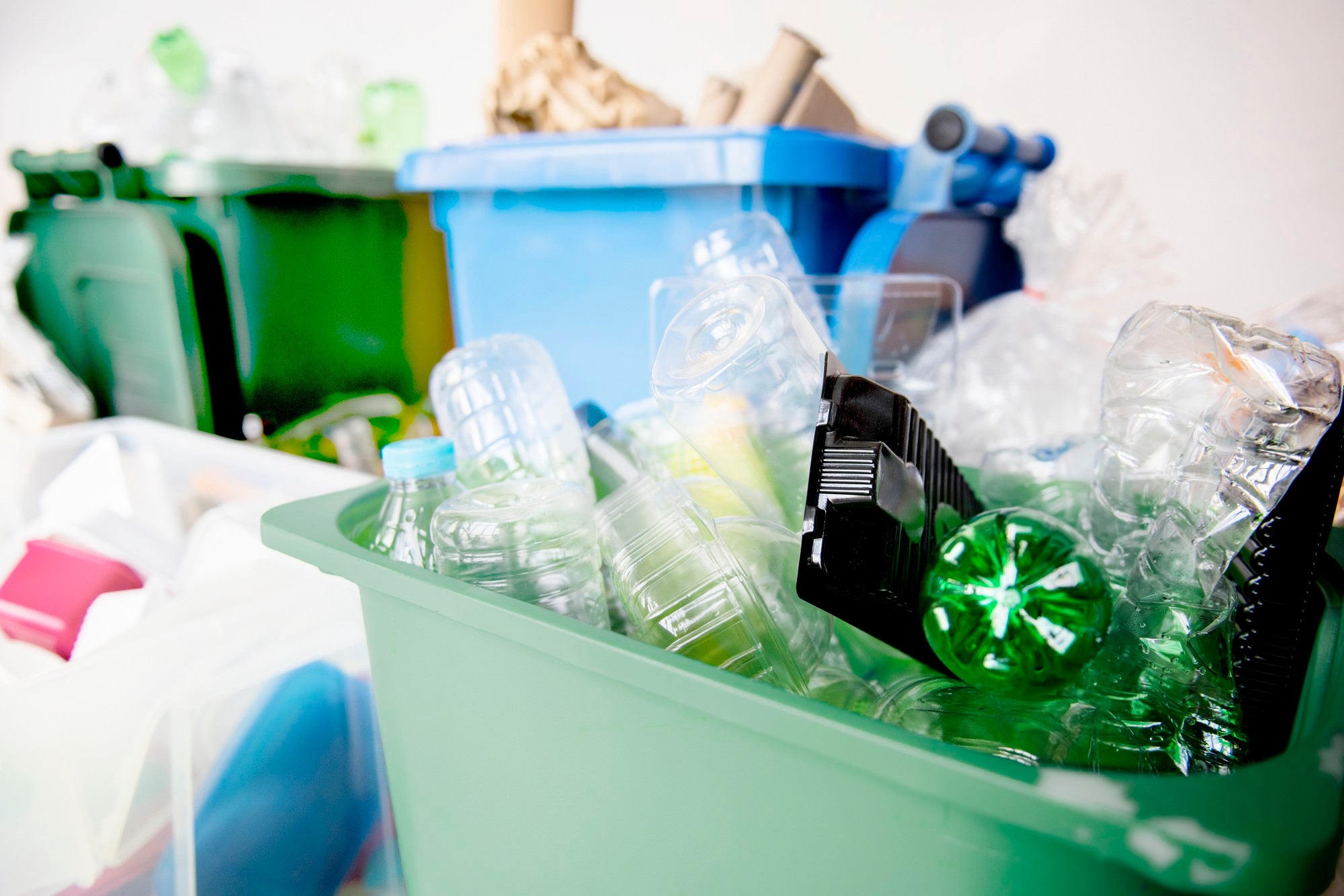 Guía rápida para reciclar fácil en casa